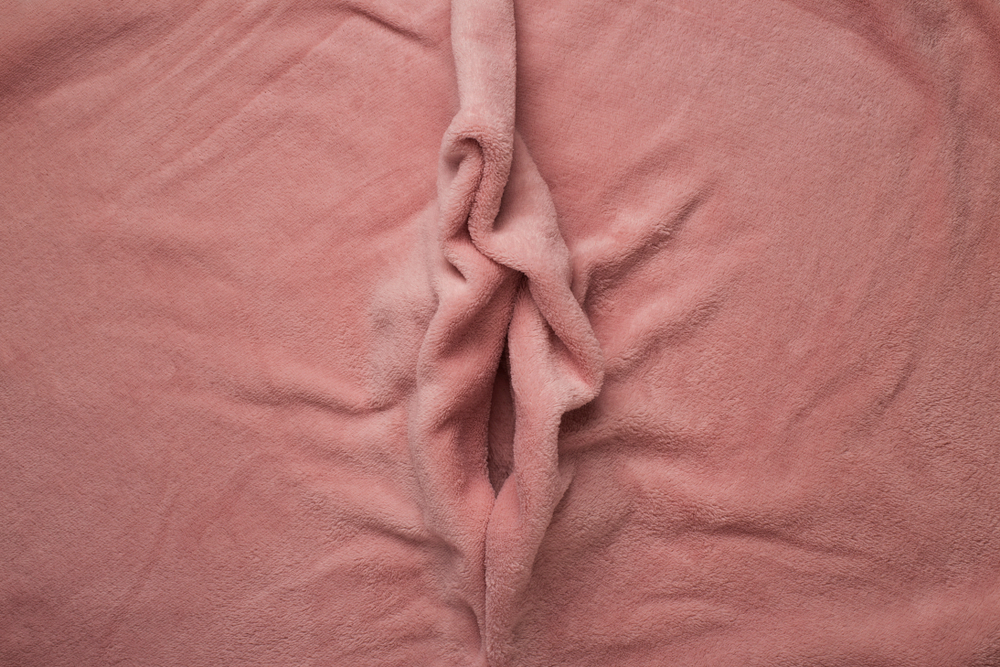 Imagem ilustrativa da região íntima feminina representando a ninfoplastia